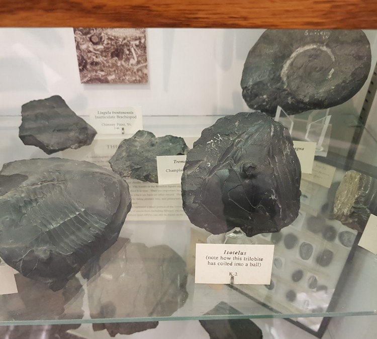 The Perkins Geology Museum (Burlington,&nbspVT)